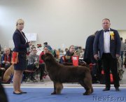 Превью фото № 231307