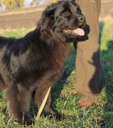 Превью фото № 231313