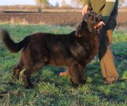 Превью фото № 231319