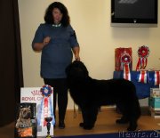 Превью фото № 231346