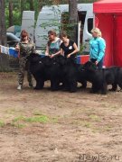 Превью фото № 231431