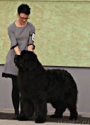 Превью фото № 231445