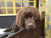 Превью фото № 231470