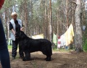 Превью фото № 231512