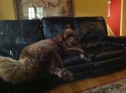 Превью фото № 231528