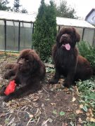 Превью фото № 231544