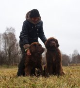 Превью фото № 231546