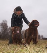 Превью фото № 231547