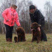 Превью фото № 231550