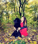 Превью фото № 231555