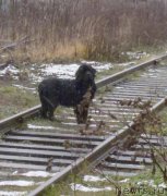 Превью фото № 231590