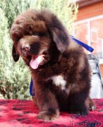 Превью фото № 231593