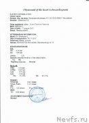 Превью фото № 231636