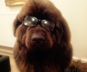 Превью фото № 231659