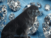 Превью фото № 231684