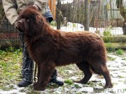 Превью фото № 231704