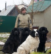 Превью фото № 231731