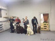 Превью фото № 231753