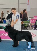 Превью фото № 231794