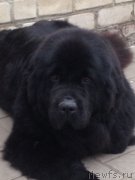 Превью фото № 231865