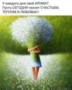 Превью фото № 231885