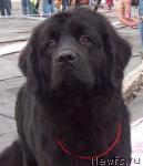 Превью фото № 23189