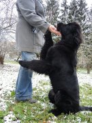 Превью фото № 231909