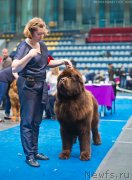 Превью фото № 231968