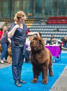 Превью фото № 231971