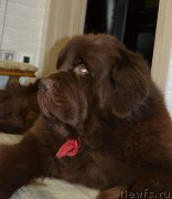 Превью фото № 231975