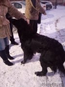 Превью фото № 231984