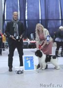 Превью фото № 232005