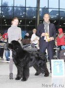 Превью фото № 232019