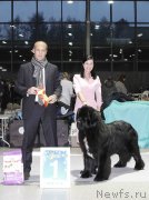 Превью фото № 232026