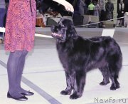 Превью фото № 232032