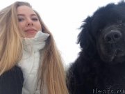 Превью фото № 232113