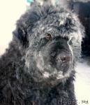 Превью фото № 23220