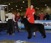 Превью фото № 232224