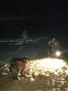 Превью фото № 232263