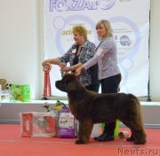 Превью фото № 232272