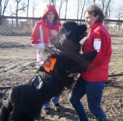 Превью фото № 232321