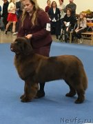 Превью фото № 232371