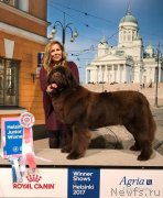 Превью фото № 232373