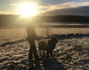 Превью фото № 232375