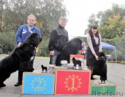 Превью фото № 232446