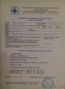 Превью фото № 232496