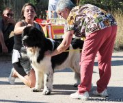 Превью фото № 232550