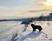 Превью фото № 232557