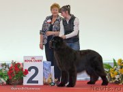 Превью фото № 232614