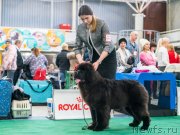 Превью фото № 232633